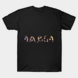 Lalibela pt.2 T-Shirt